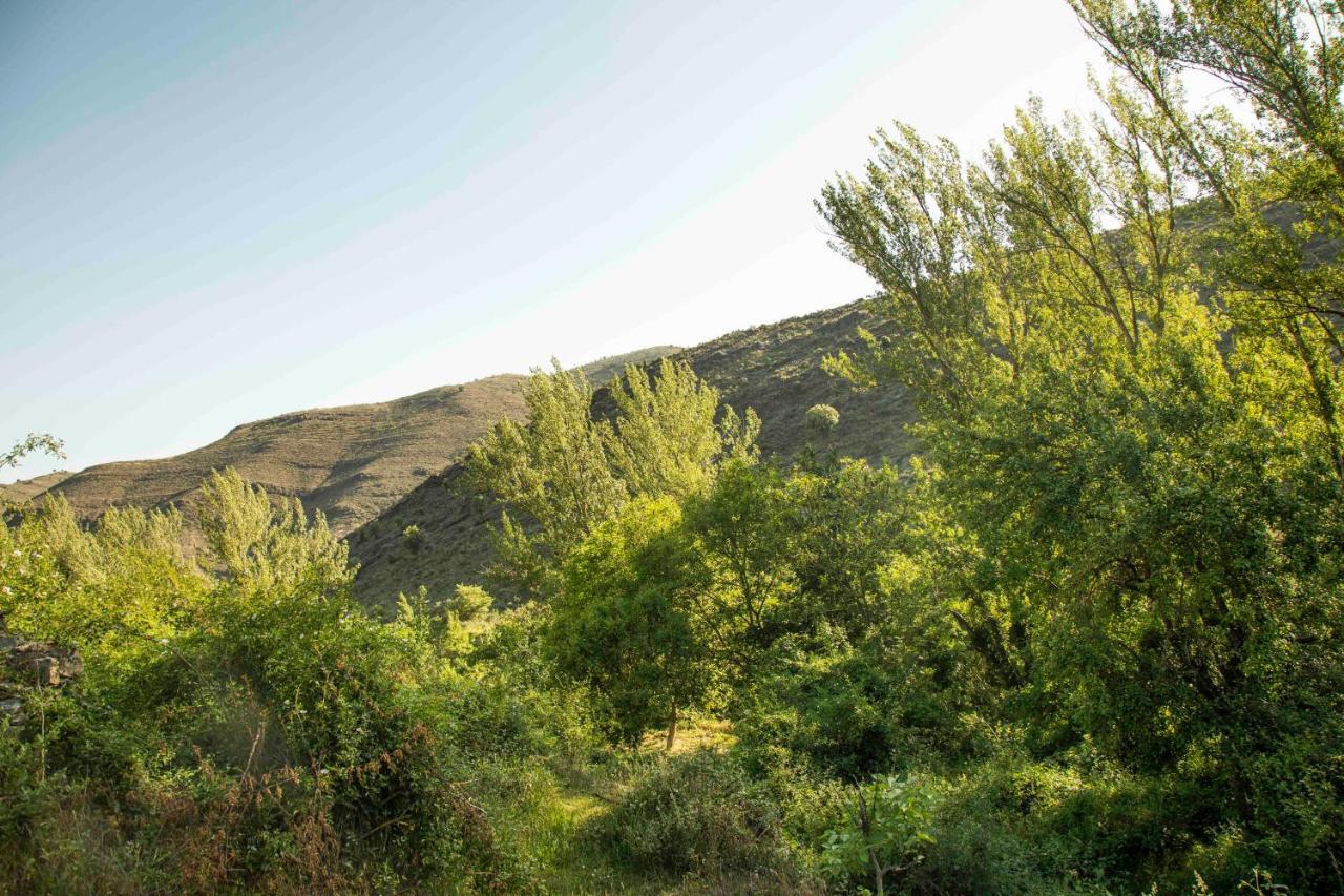 Casa Rural El Huerto De La Fragua Pensionat Enciso Eksteriør billede